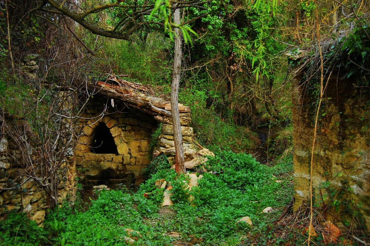 La Posada Del Arba El Frago エクステリア 写真